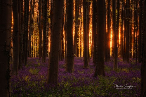 Fotograf 3 Fotograf 3