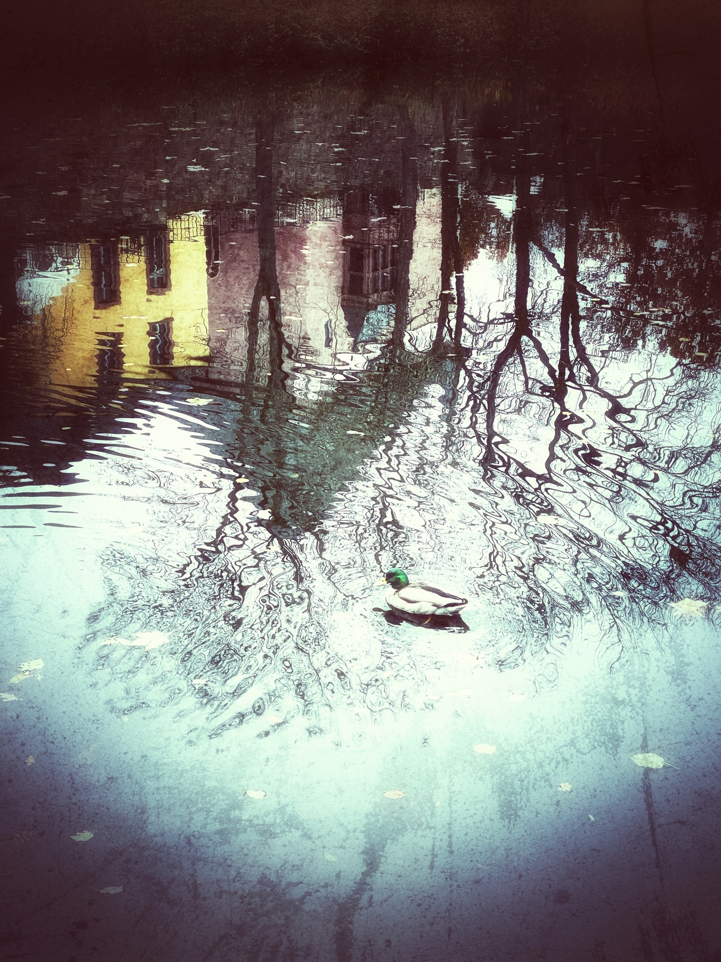 Galerie - iPhone Landschaft 23