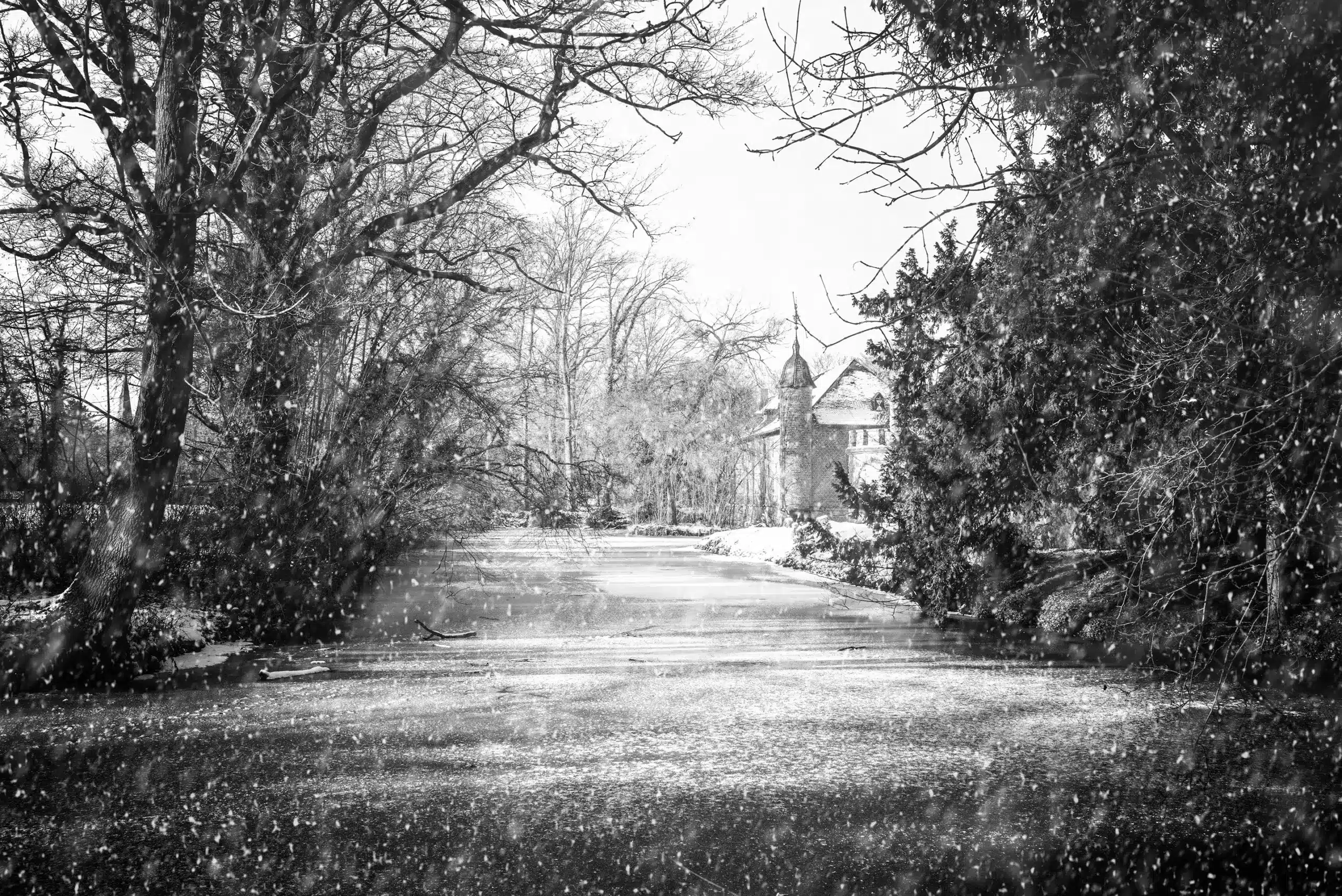 hero burgau winter leica monochrome