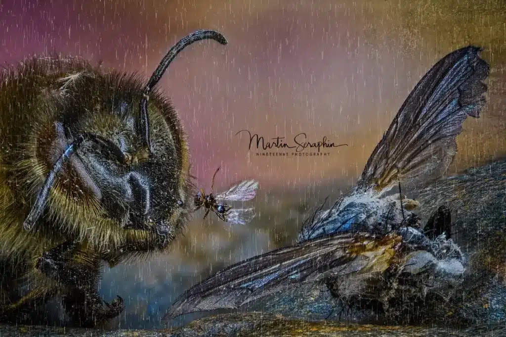 insekten gruppe 01 2022 01 23 00 04 45 csmoothing5