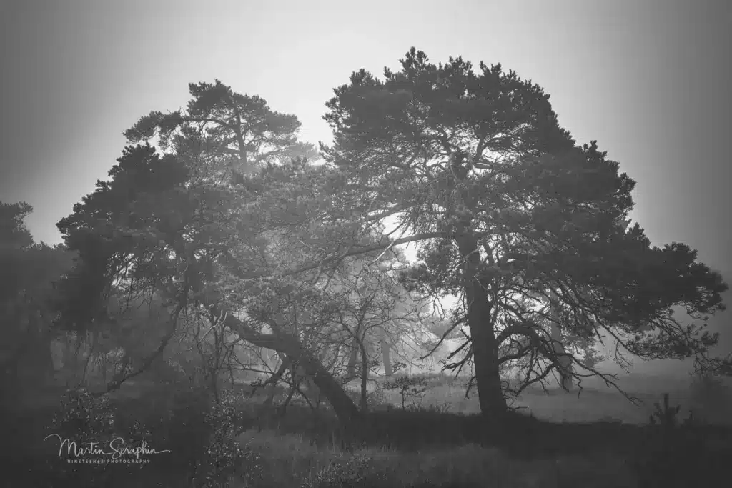 lammersdorf nebel a7riii 20181018 dsc05360 kopie