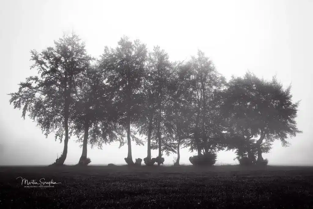 lammersdorf nebel a7riii 20181018 dsc05379 1400px web