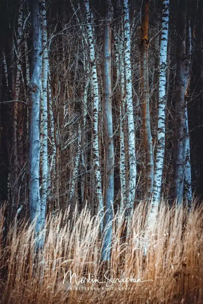 landschaft natur martin seraphin 008