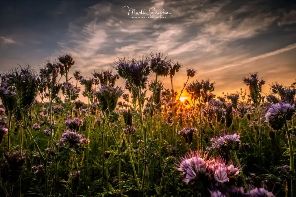 landschaft natur martin seraphin 010