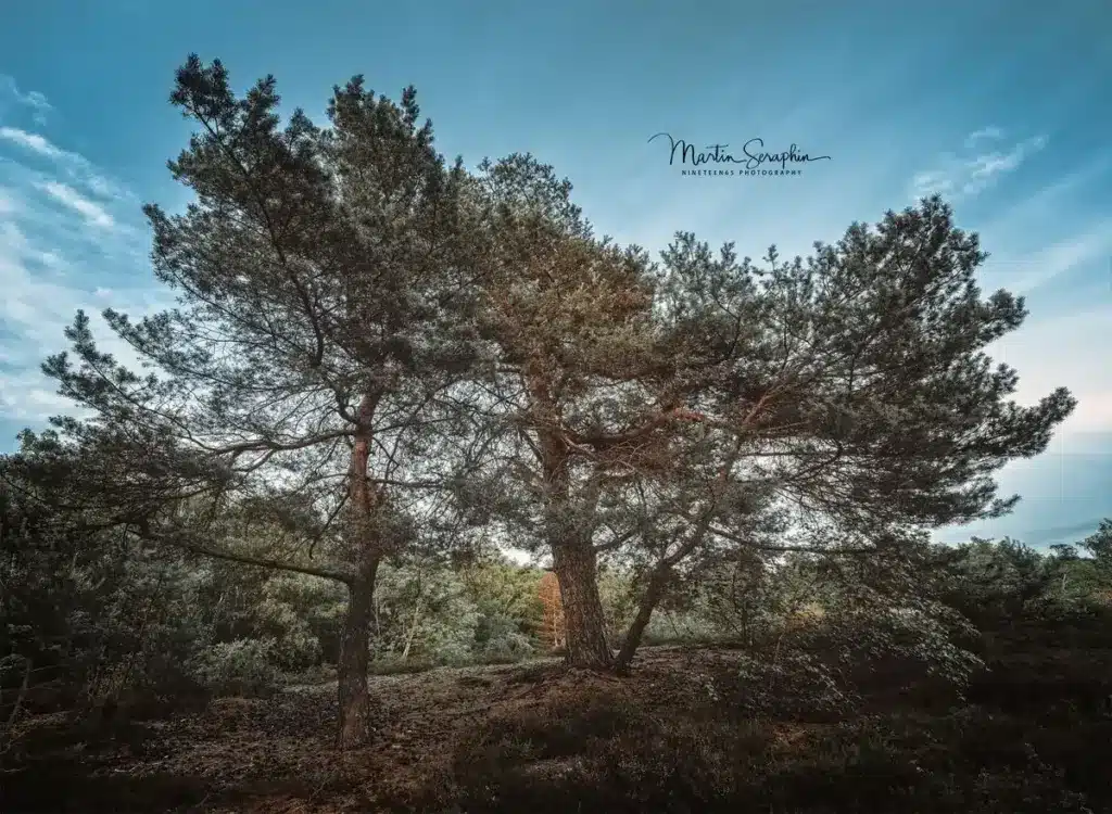 landschaft natur martin seraphin 011