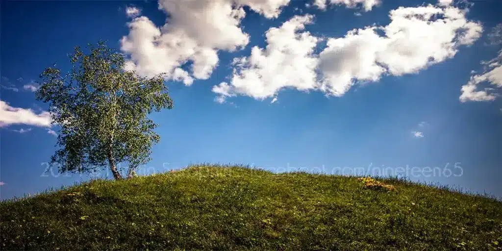 landschaft natur martin seraphin 042