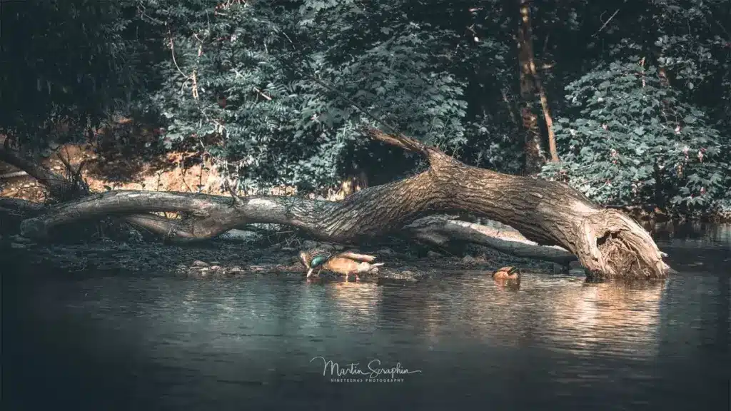 landschaft natur martin seraphin 062