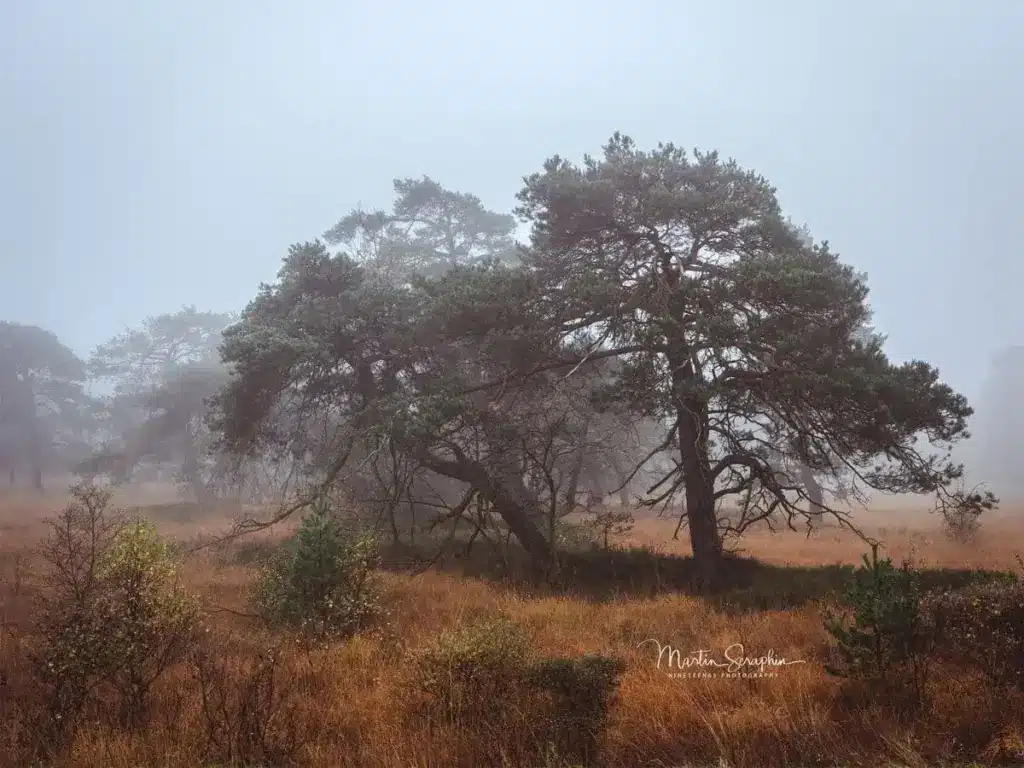 landschaft natur martin seraphin 068