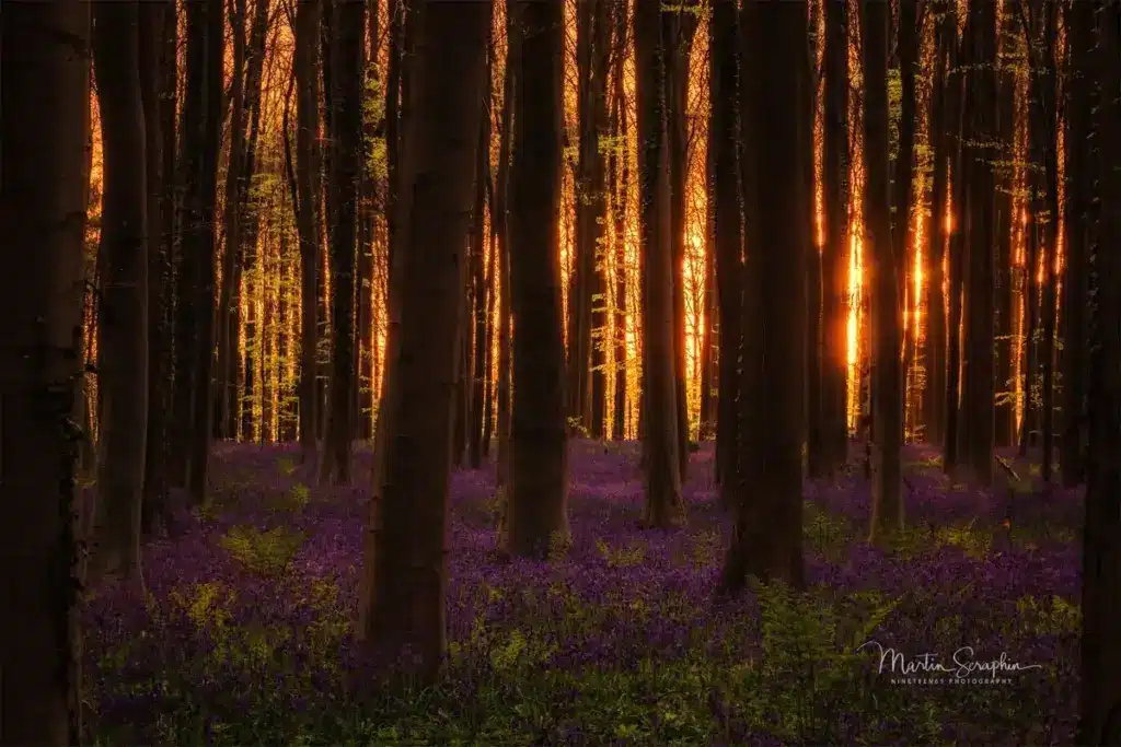 landschaft natur martin seraphin 075