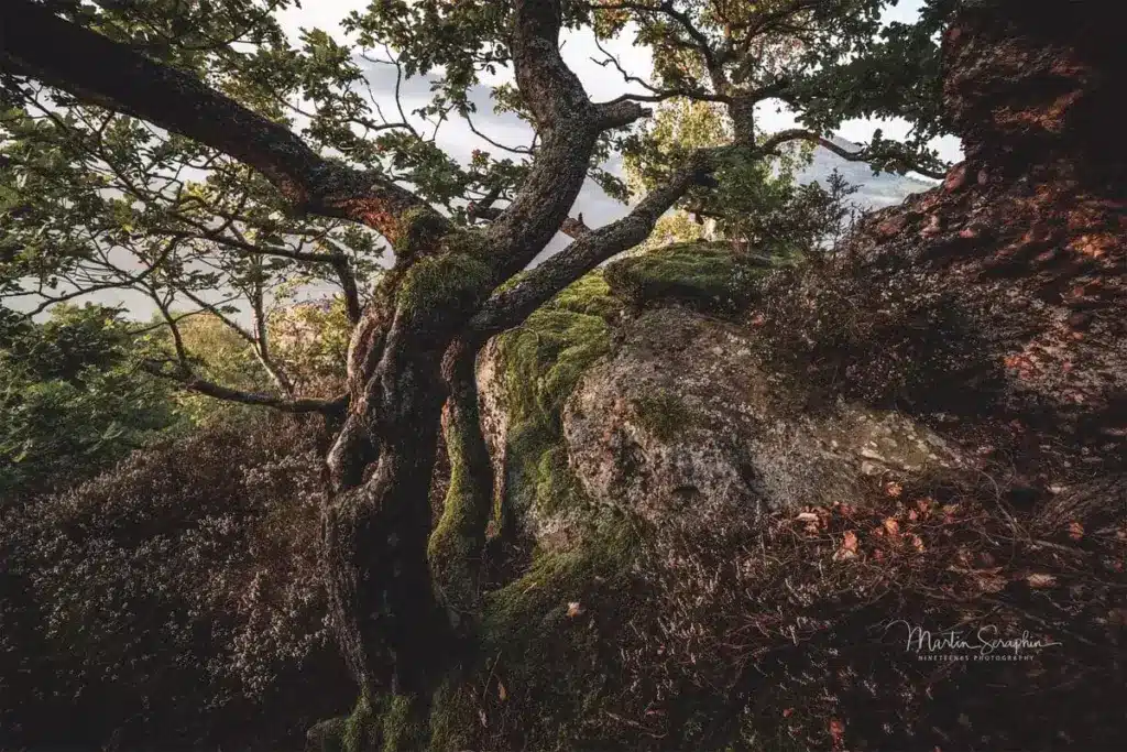 landschaft natur martin seraphin 082