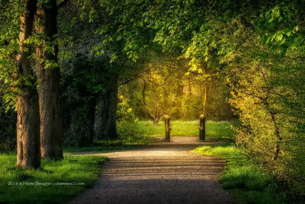 landschaft natur martin seraphin 102