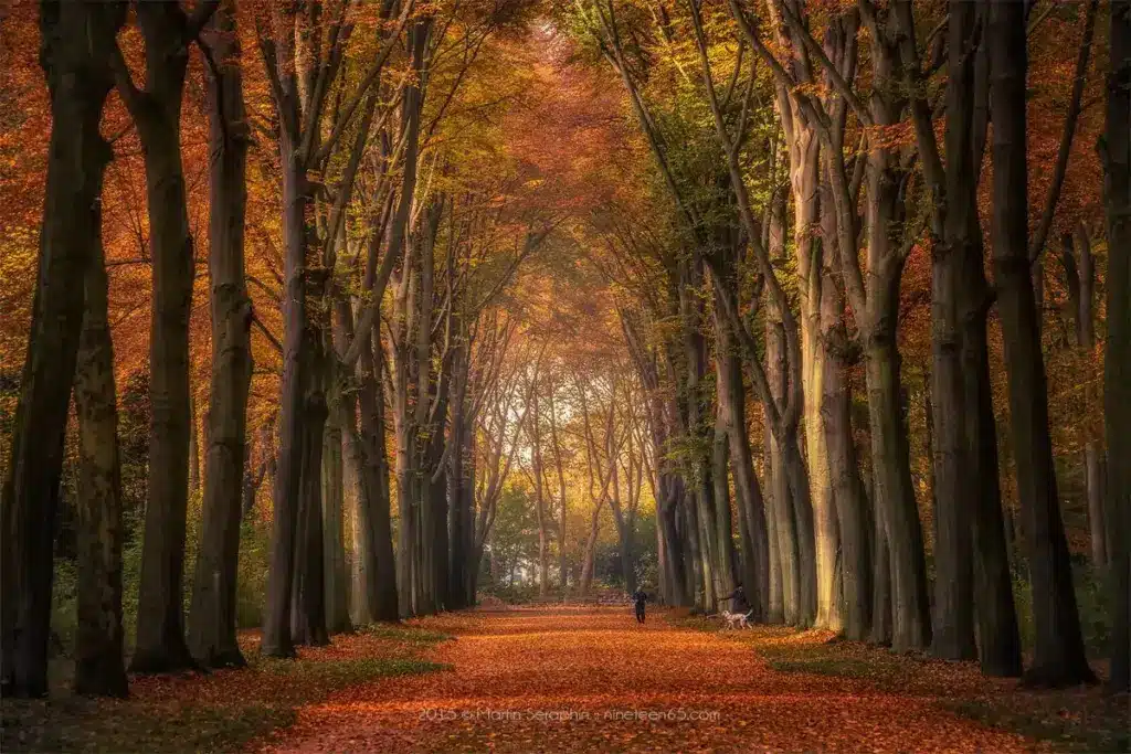 landschaft natur martin seraphin 111