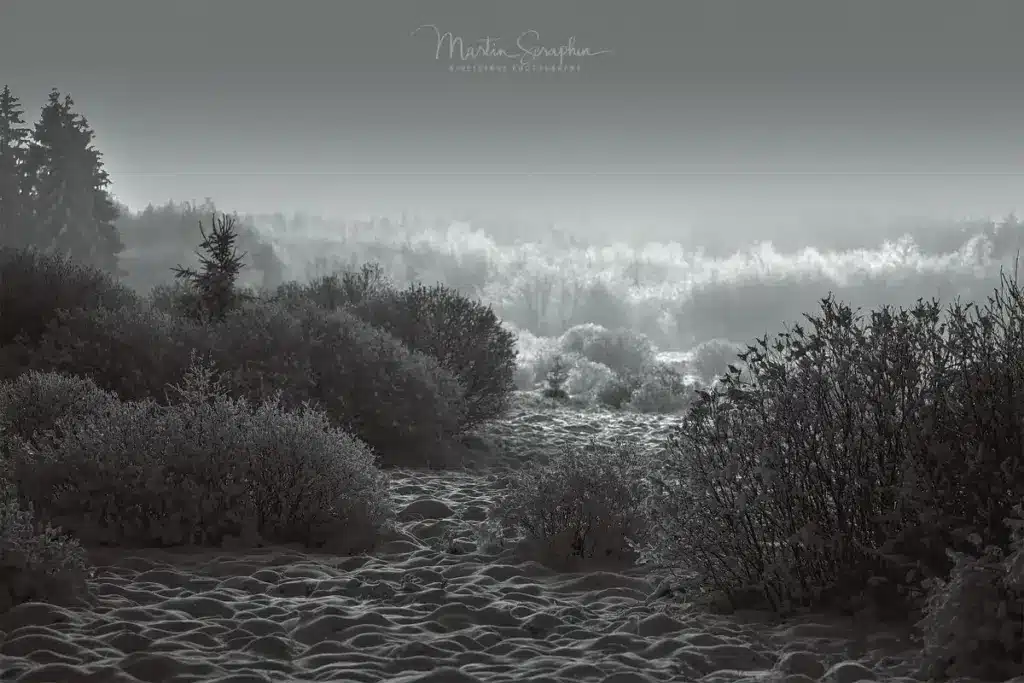 landschaft natur martin seraphin 119
