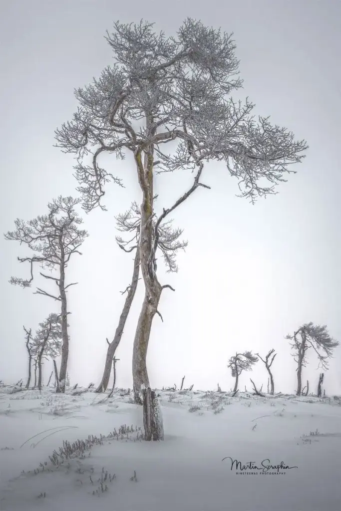 landschaft natur martin seraphin 129