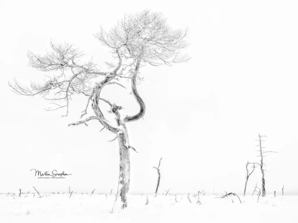 landschaft natur martin seraphin 130