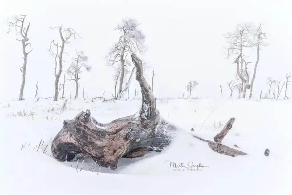 landschaft natur martin seraphin 132