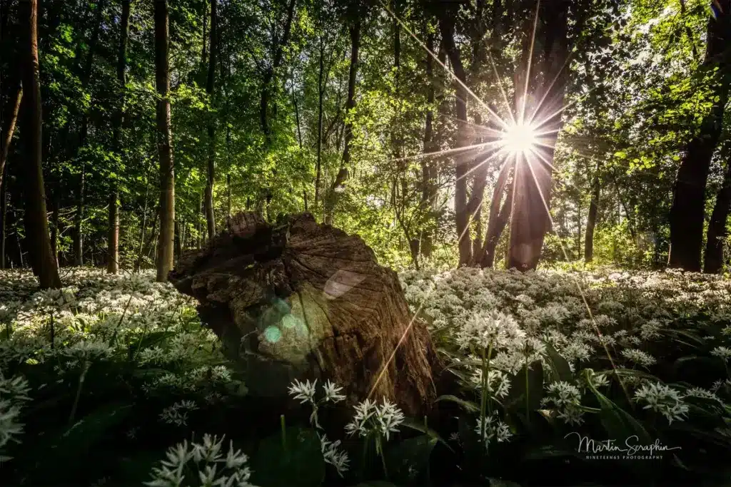 landschaft natur martin seraphin 148